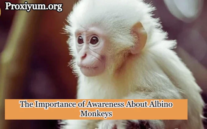 The Importance of Awareness About Albino Monkeys