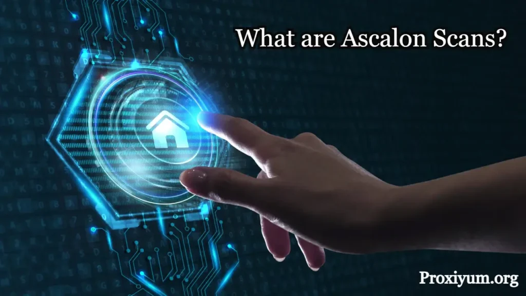 Ascalon Scans