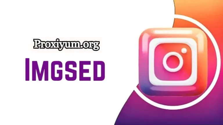 ImgSed: Downloading Instagram Stories Anonymously