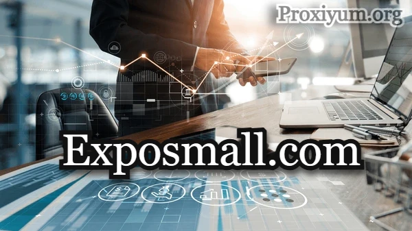 Exposmall.com: The Perfect Platform for Scaling Your E-Commerce Business