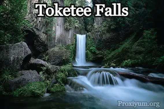 Toketee Falls:  Tips, Trails, and Scenic Views