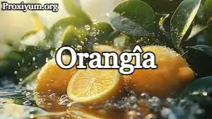 Orangîa: The Superfruit Packed with Health Benefits and Delicious Flavor